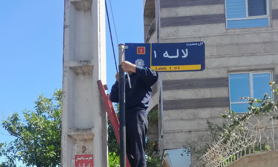 تصویر شاخص